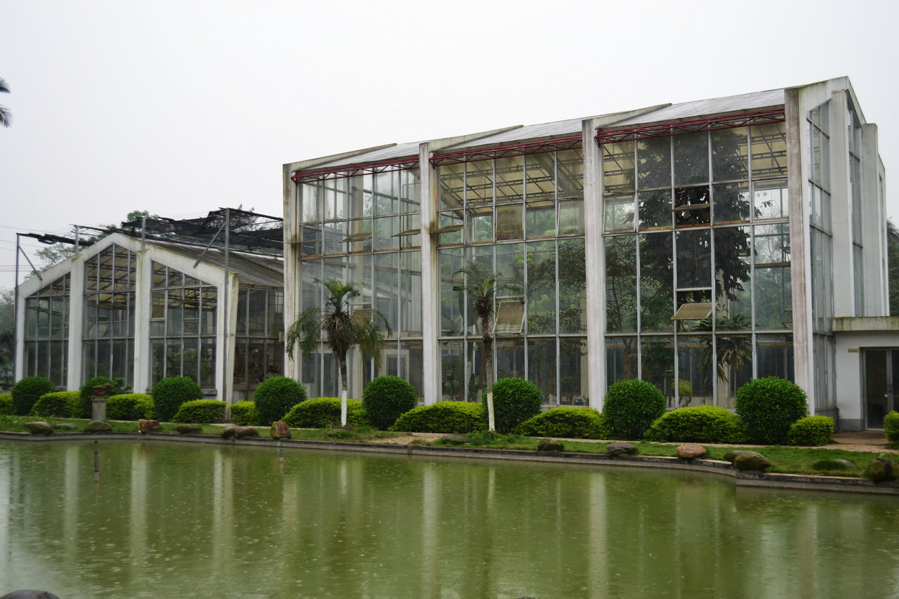 DSC_0099.jpg