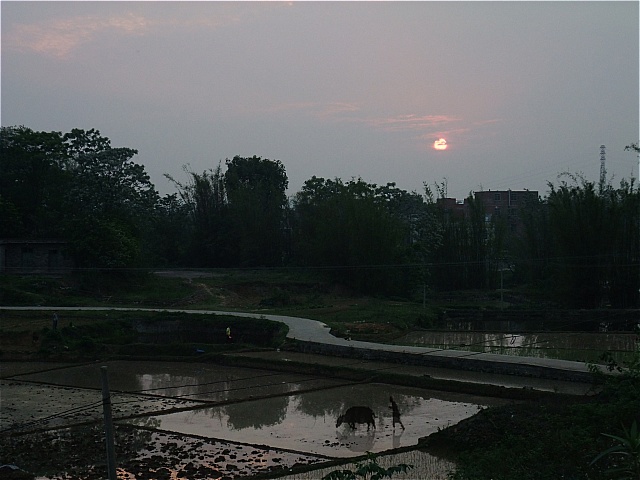 DSCF5953.JPG