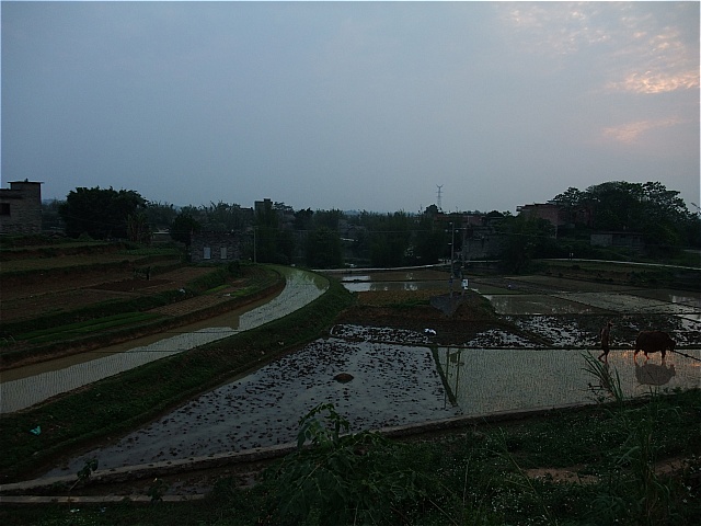 DSCF5959.JPG