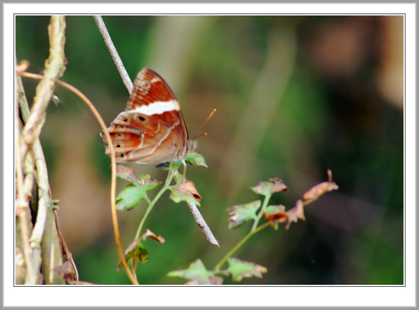 DSC05749_副本.jpg