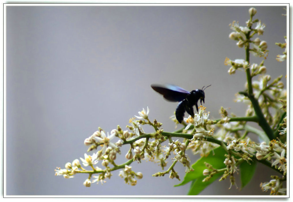 DSC06957_副本.jpg