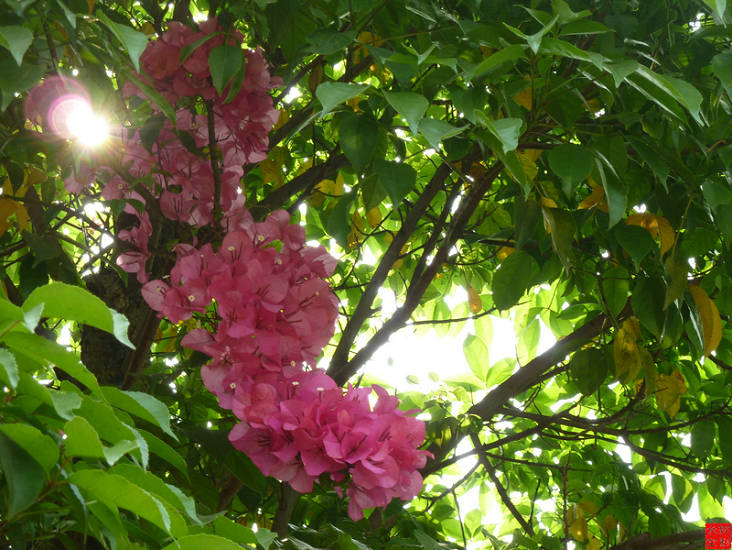 P1030484_1.JPG