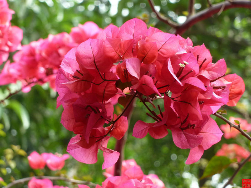 P1030495_1.JPG