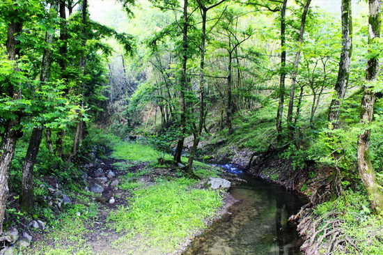 _MG_39171.jpg