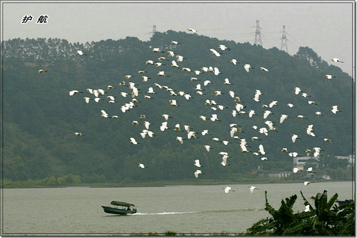 _J7O0970.jpg