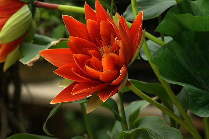 nEO_IMG_DSC05925.jpg