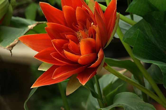 nEO_IMG_DSC05926.jpg