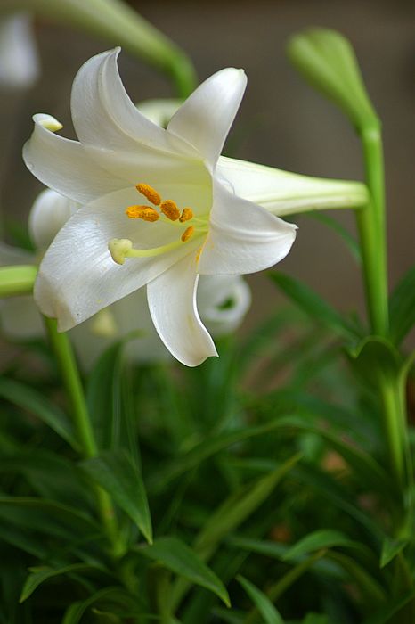 nEO_IMG_DSC05928.jpg