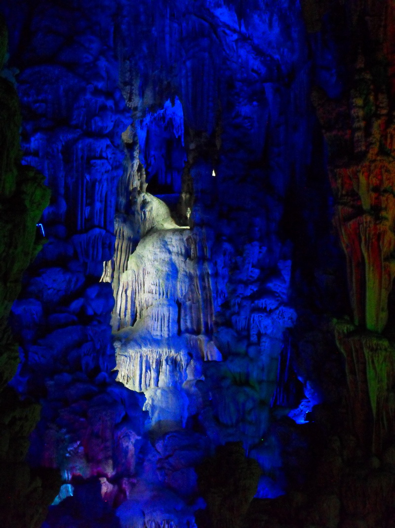 SDC11138.jpg