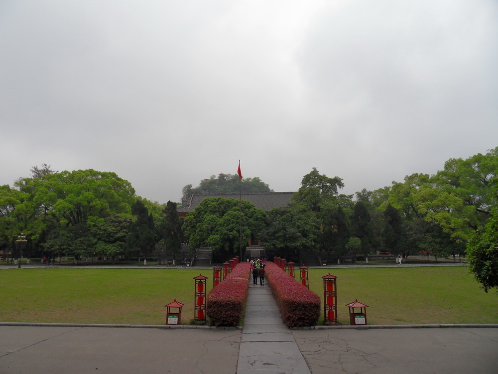 SDC10935.jpg