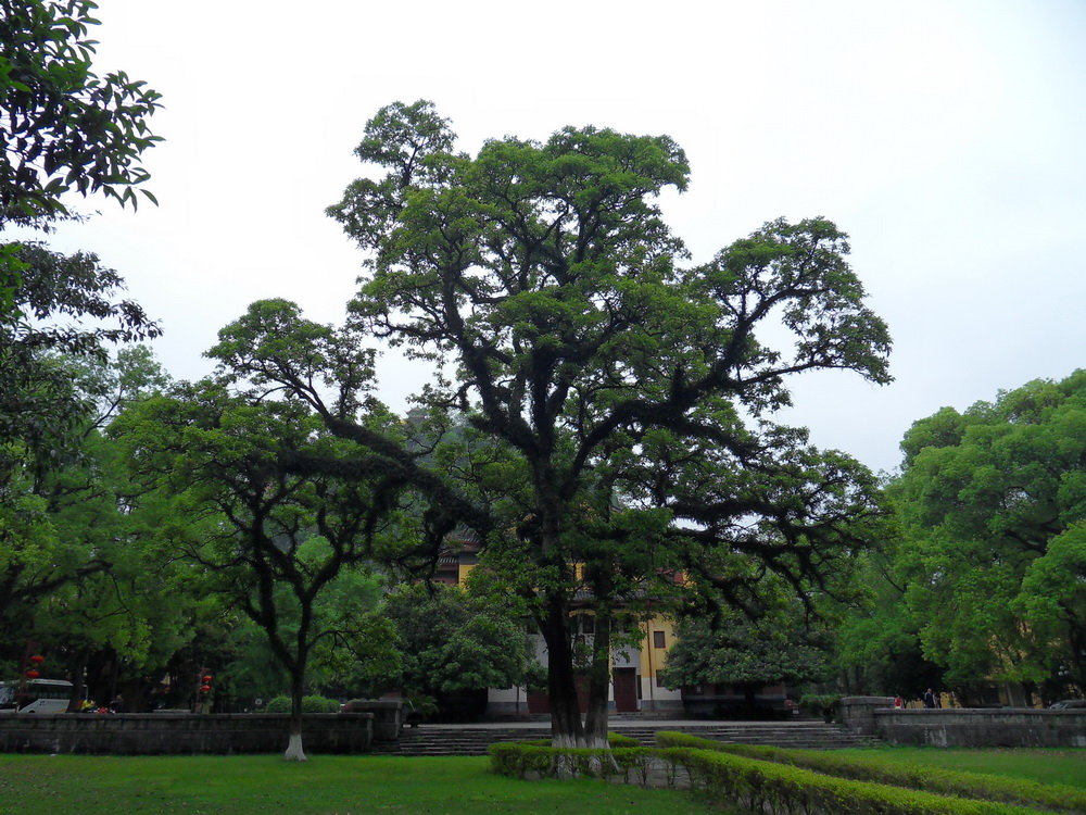 SDC10992.jpg