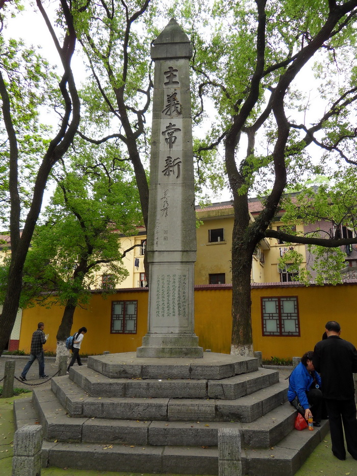 SDC11017.jpg