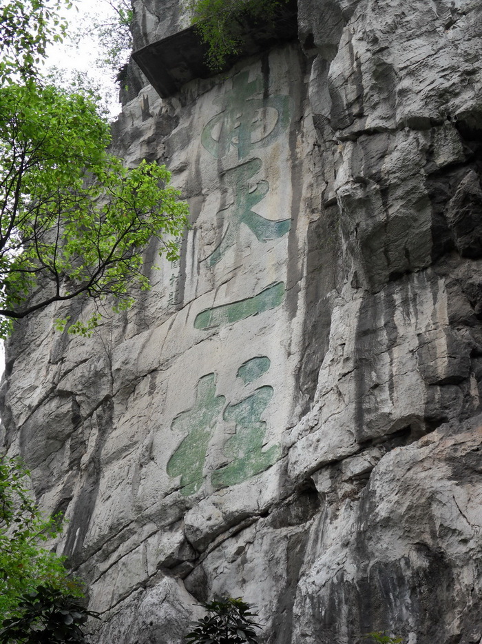 SDC11015.jpg