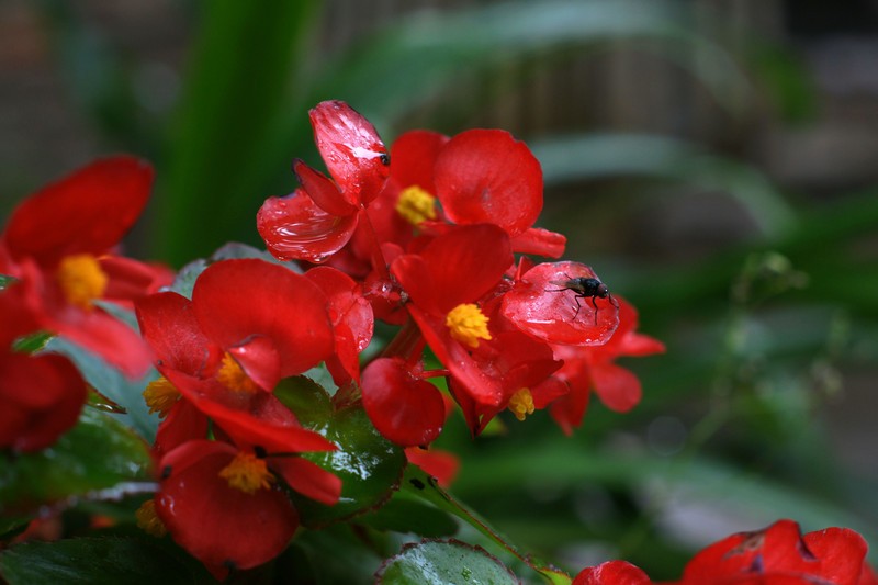 a9652696_s.jpg