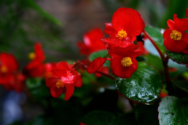 a9652708_s.jpg