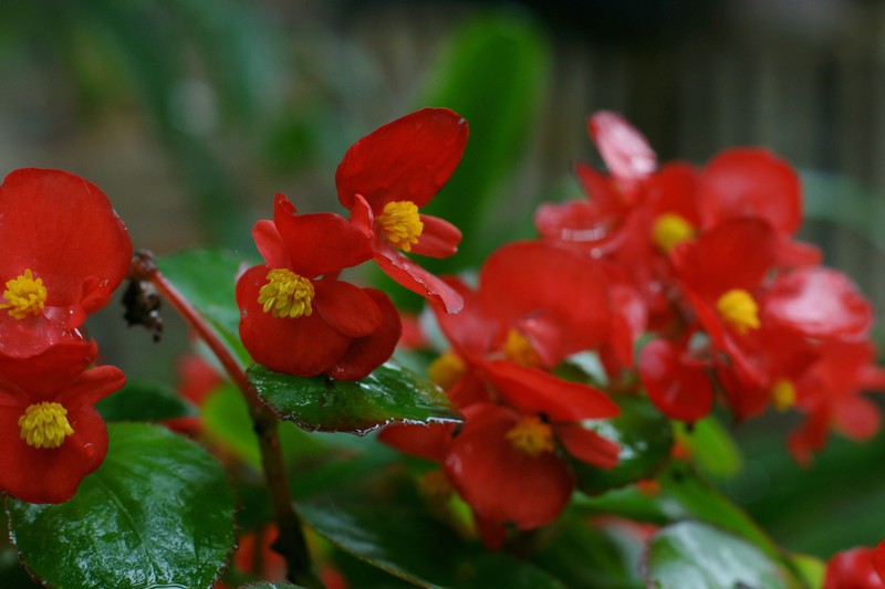 a9652723_s.jpg