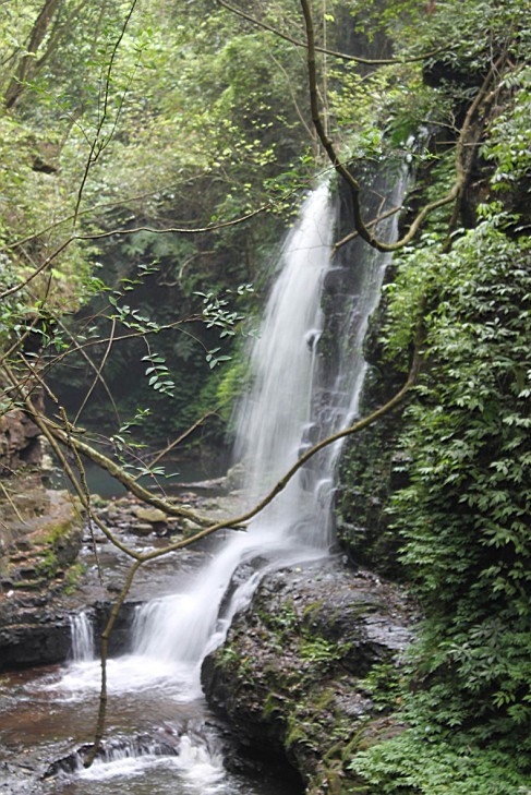 05.jpg