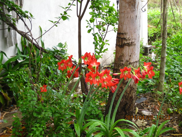 IMG_0040.JPG