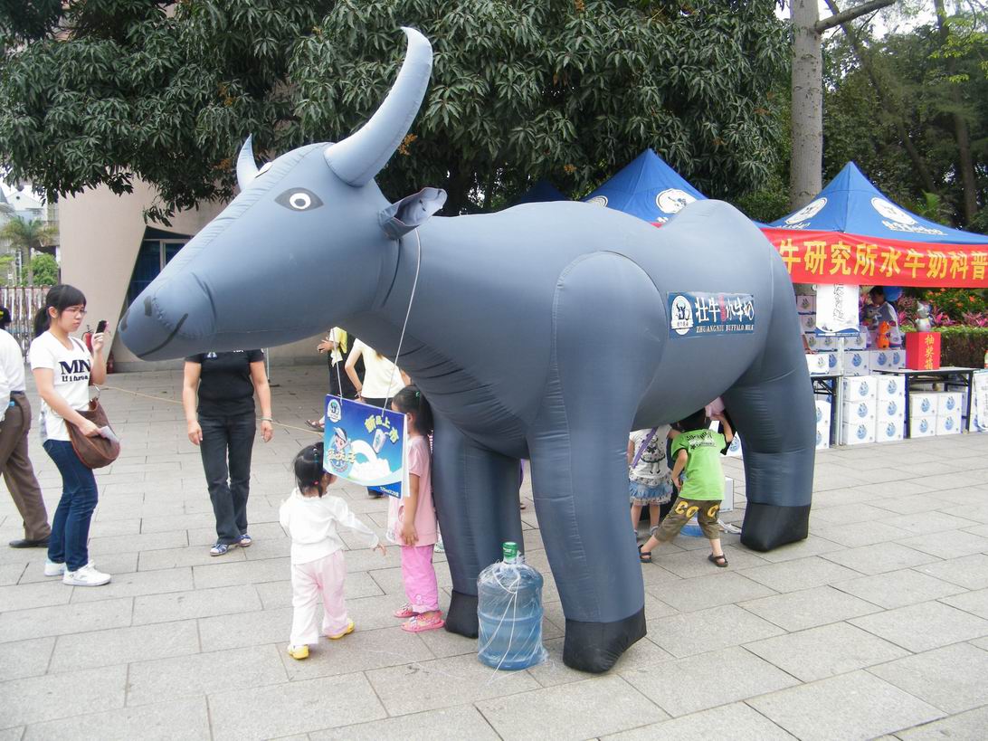 DSCF4879.jpg