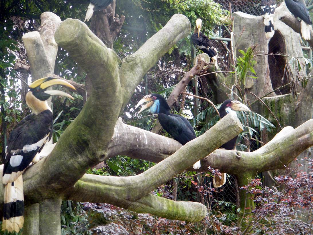 DSCF4971.jpg