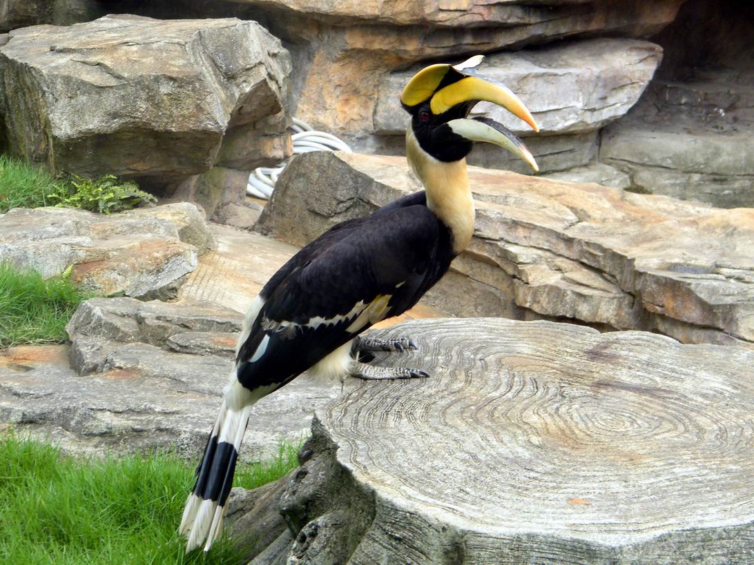DSCF4976.jpg