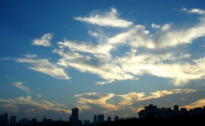 nEO_IMG_DSC06495.jpg