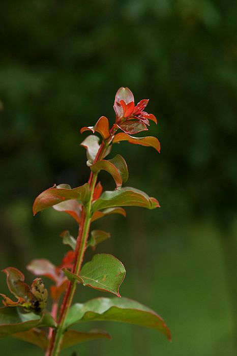 nEO_IMG_DSC06351.jpg