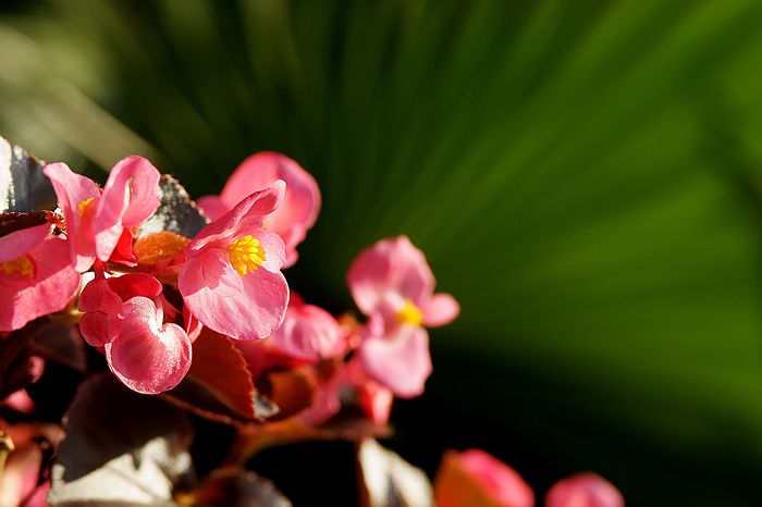 nEO_IMG_DSC06457.jpg