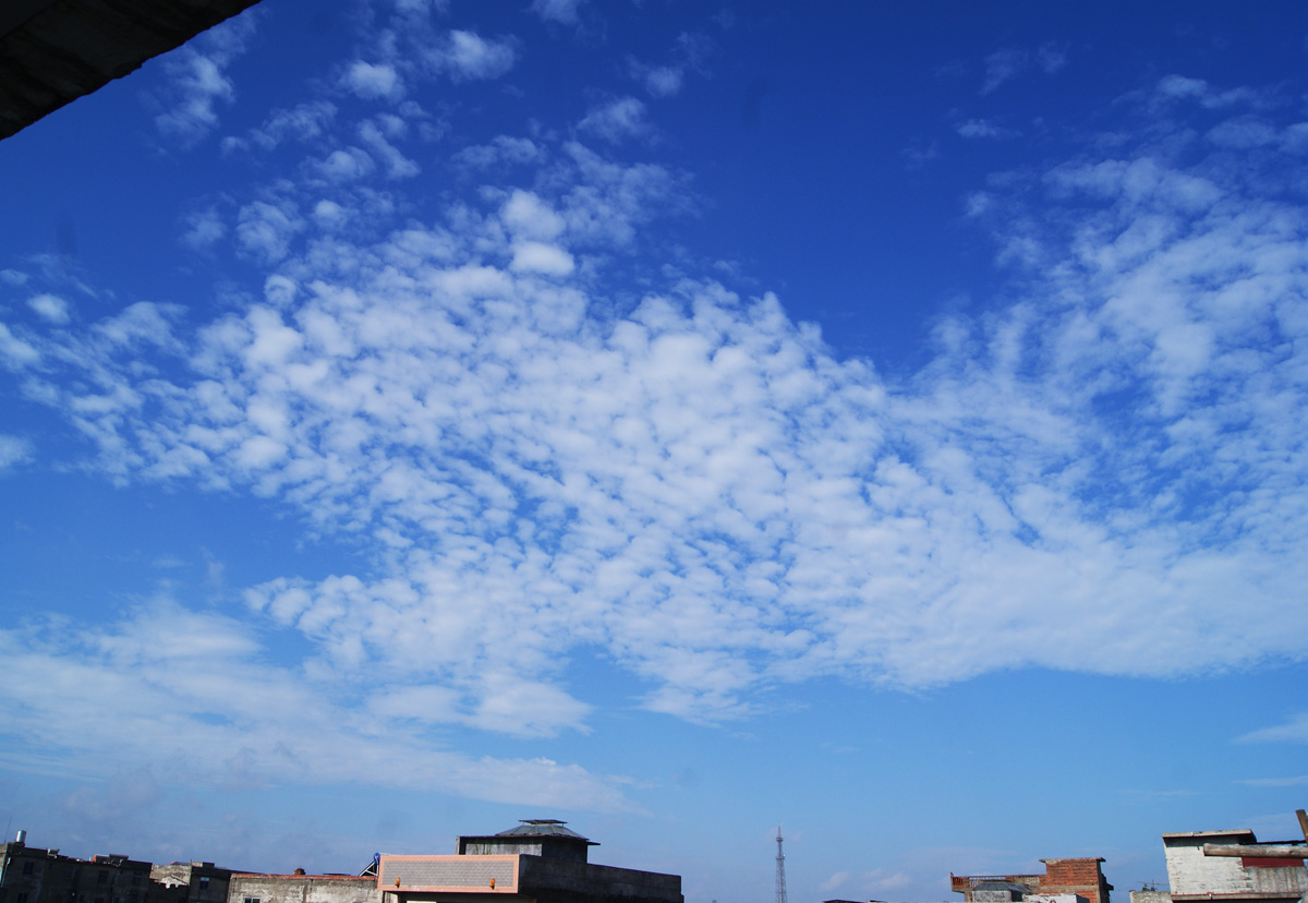 DSC07405 副本.jpg
