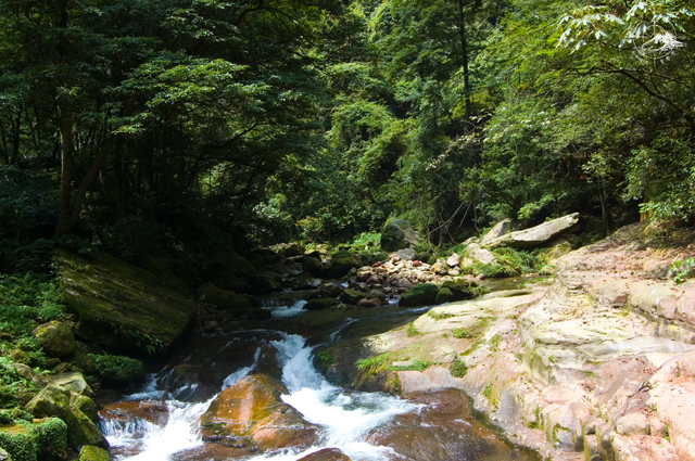 DSC_3118.jpg