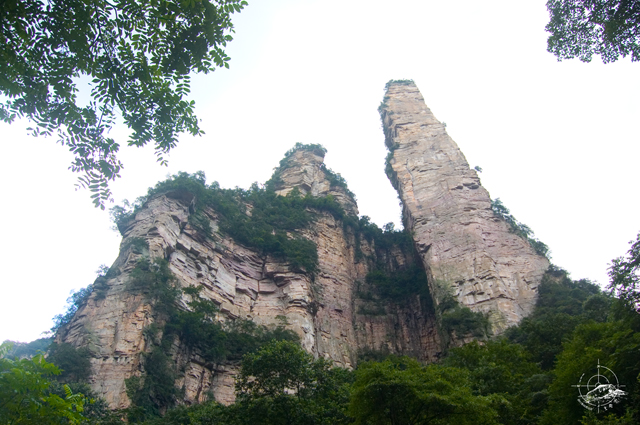 DSC_3150.jpg