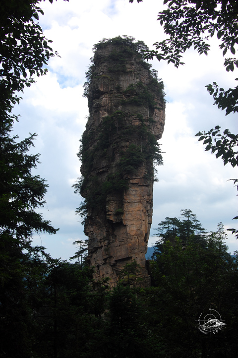 DSC_3198.jpg