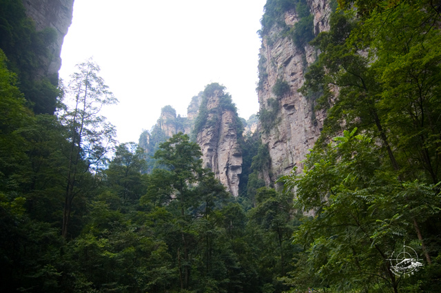 DSC_3092.jpg