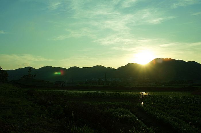 nEO_IMG_DSC06569.jpg