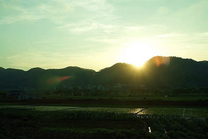 nEO_IMG_DSC06571.jpg