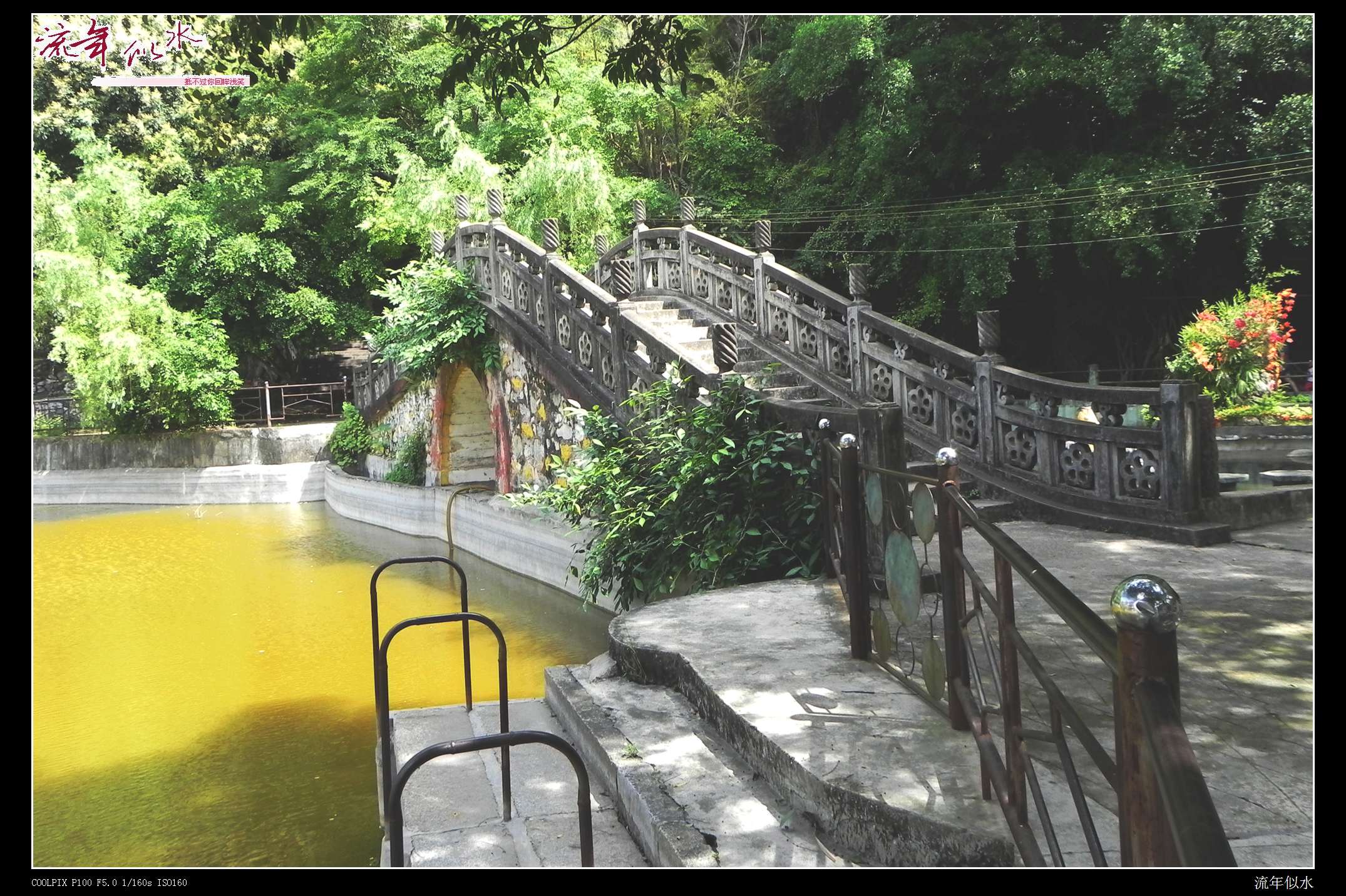 DSCN6590.JPG