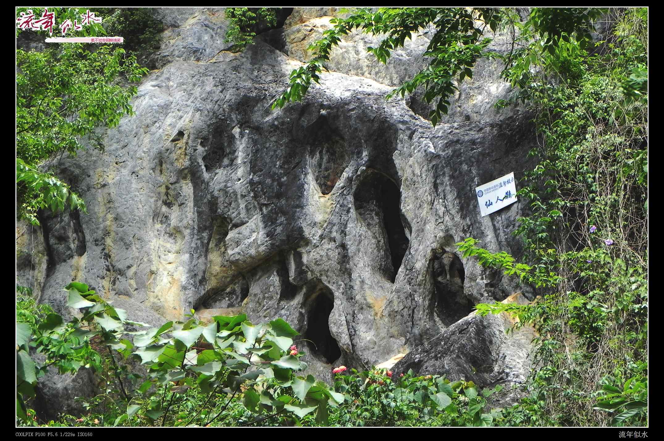 DSCN6642.JPG