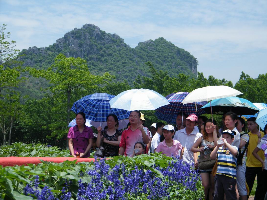 DSCF5228.jpg
