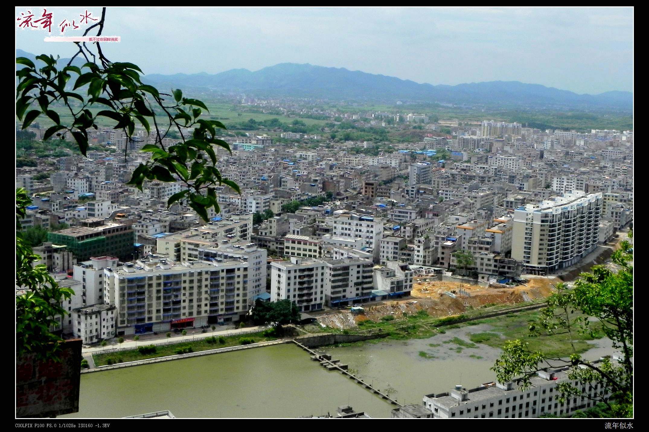 DSCN6630.JPG