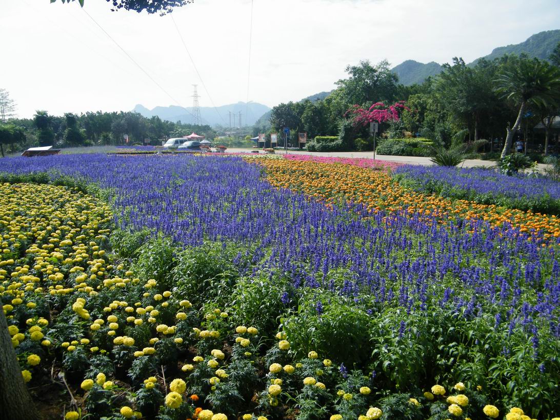 DSCF5012.jpg
