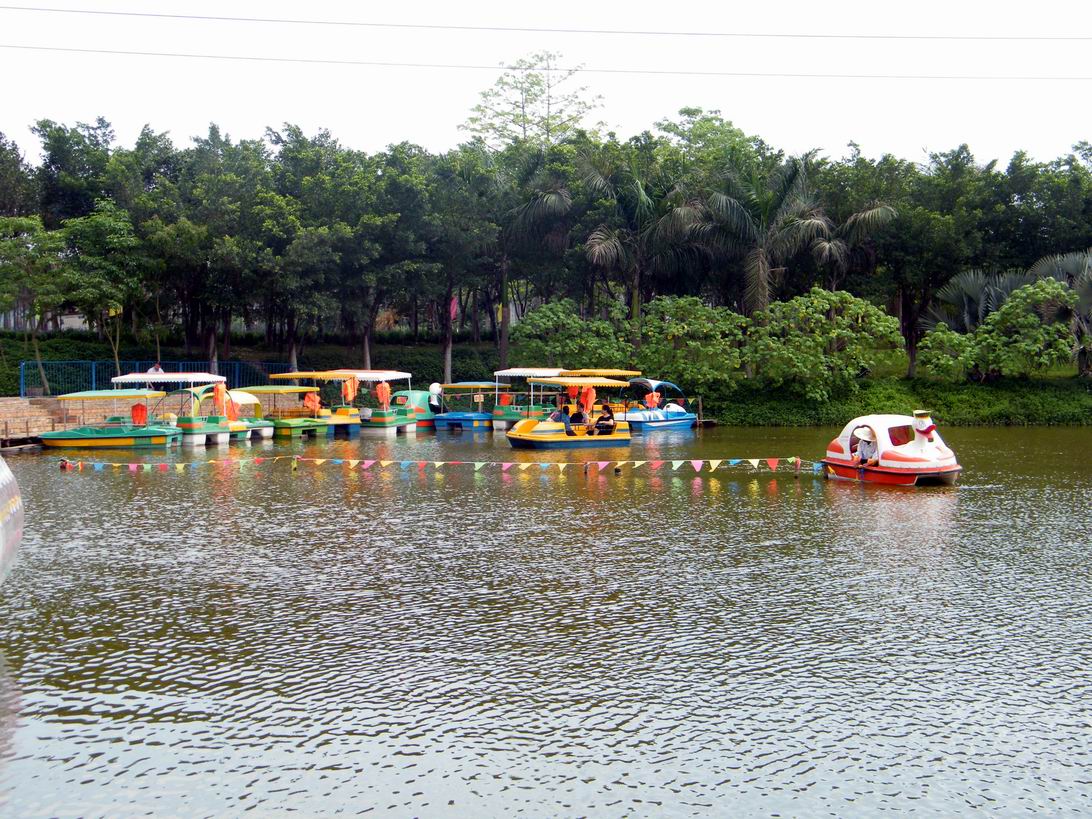 DSCF5036.jpg