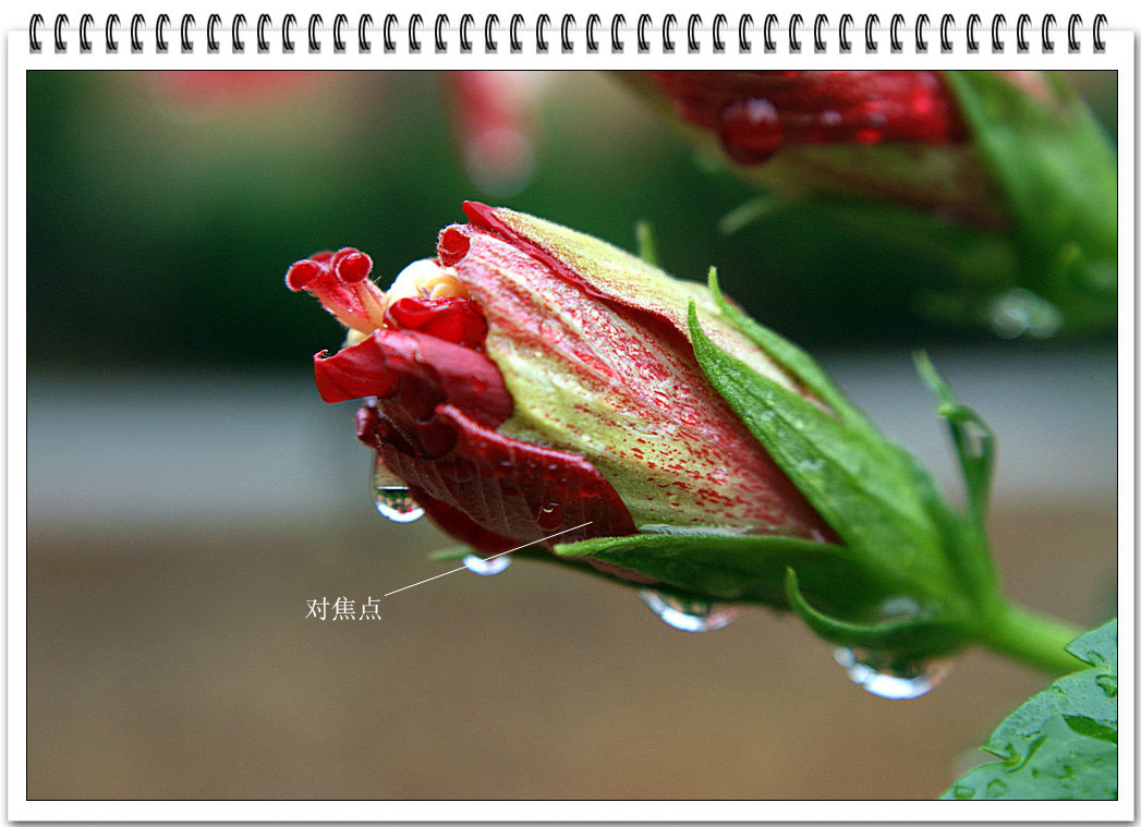 202758p5zy2ly4yooto924.jpg