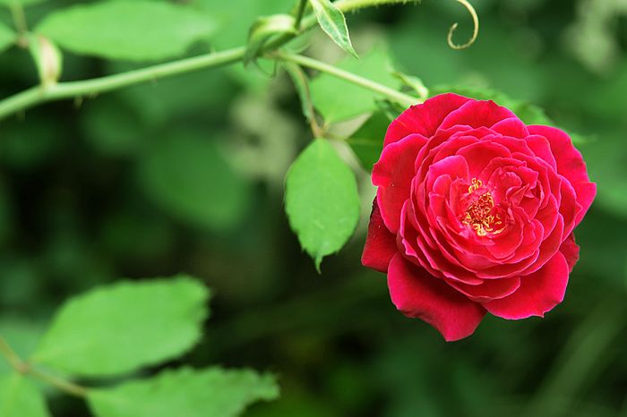 nEO_IMG_DSC06637.jpg