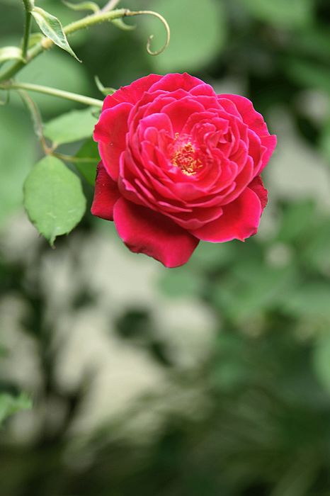 nEO_IMG_DSC06640.jpg