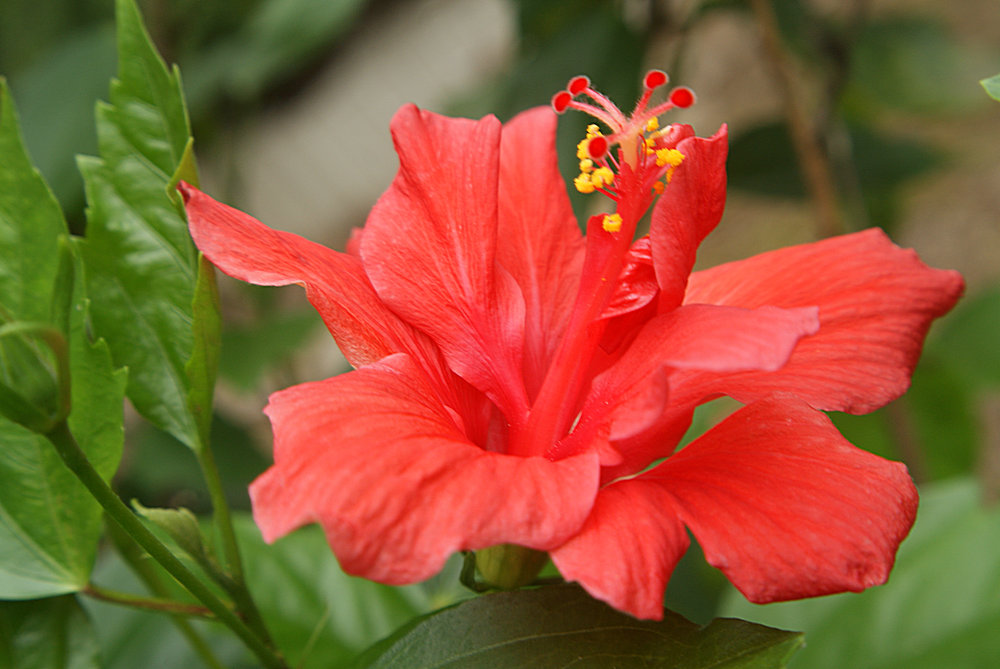 DSC08156.JPG