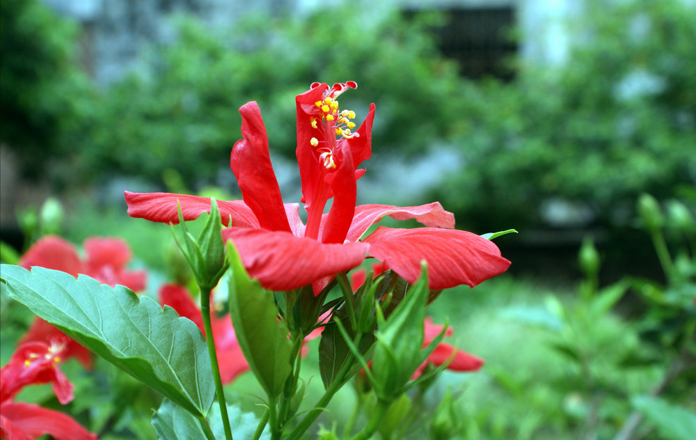 DSC08090_副本.jpg