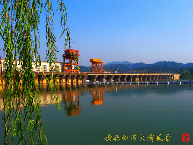 照片 010.jpg