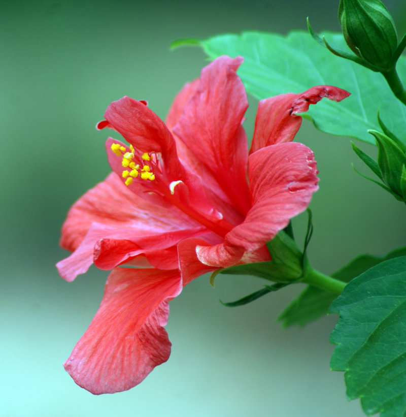 DSC08260.jpg