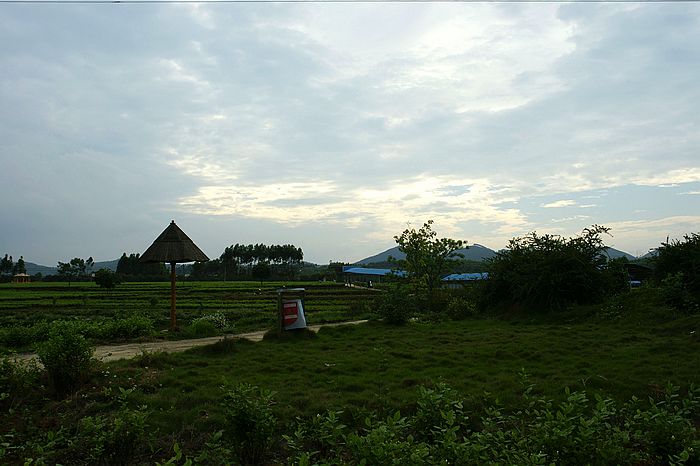 nEO_IMG_DSC06874.jpg