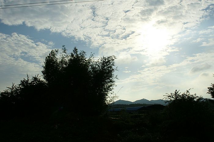 nEO_IMG_DSC06959.jpg